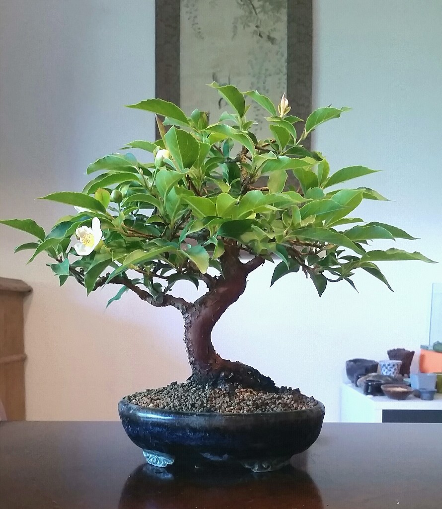 2019-06-28 17.34.05.jpg