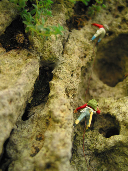 IMG_2126.jpg