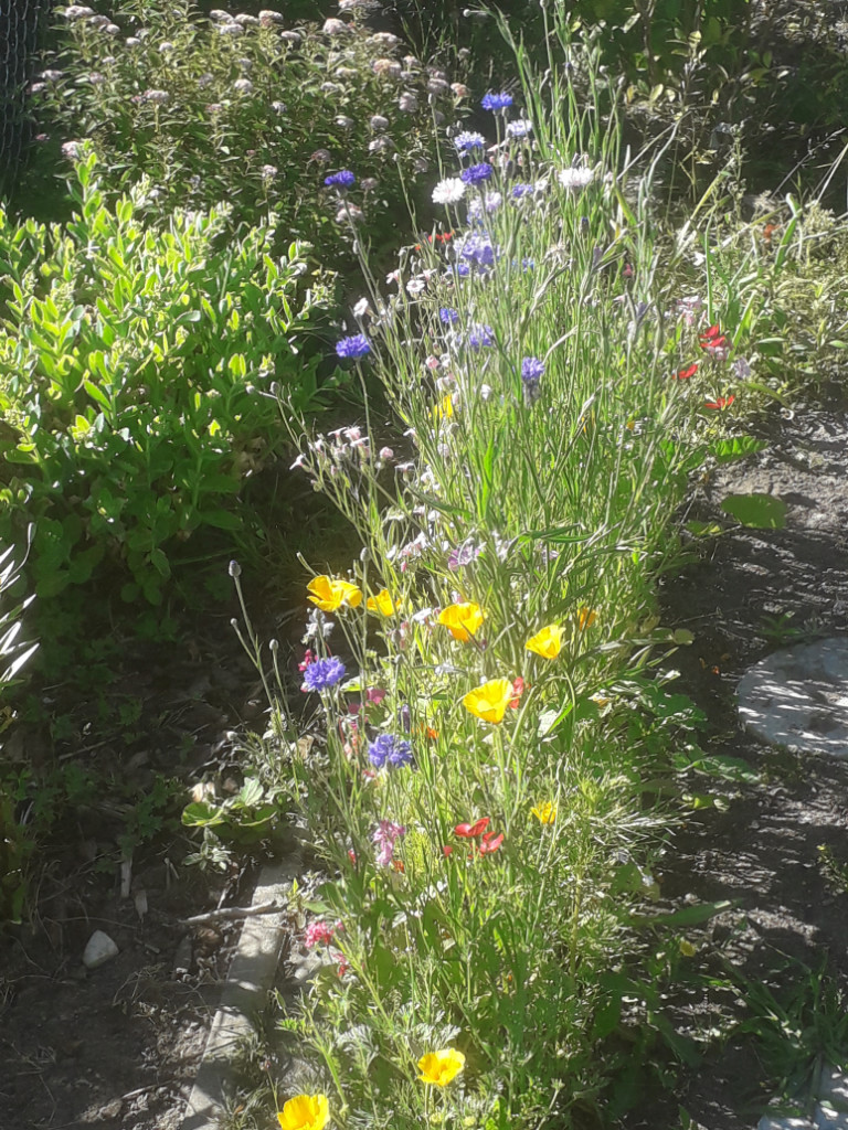 20190629_092052.jpg
