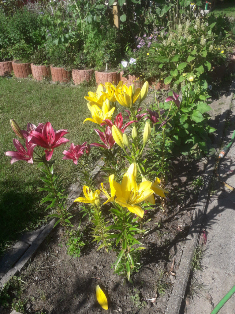 20190629_092004.jpg