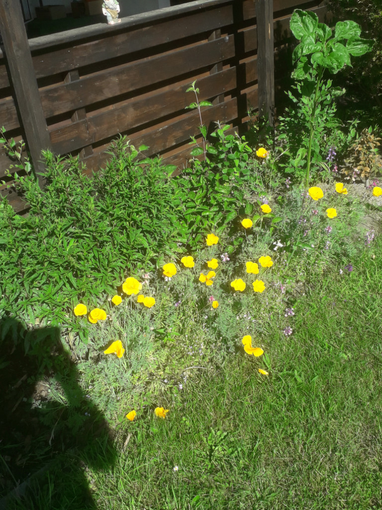 20190629_092118.jpg