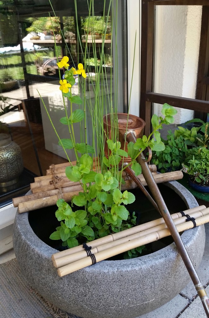 20190624_132711-2.jpg