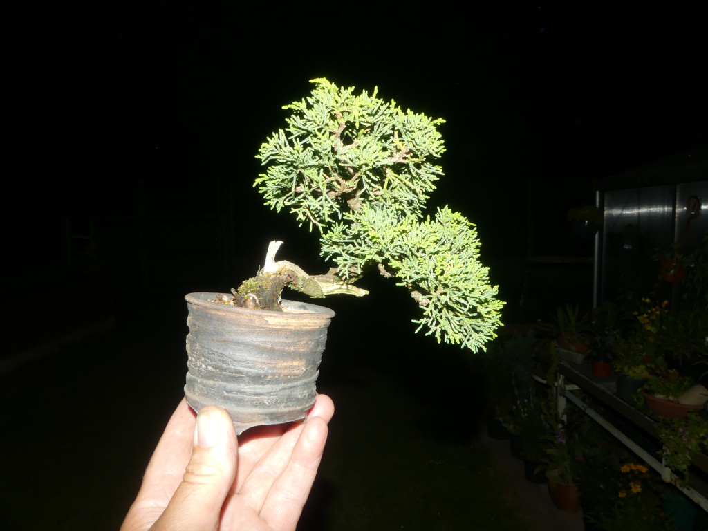 P1010200.JPG