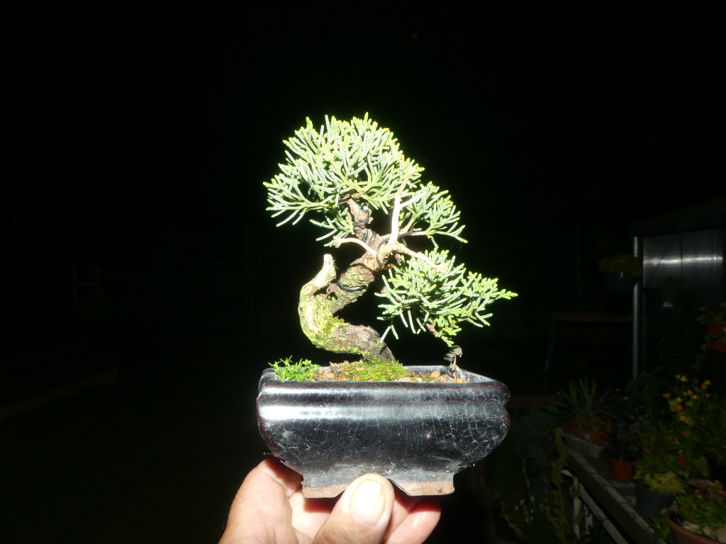 P1010202.JPG