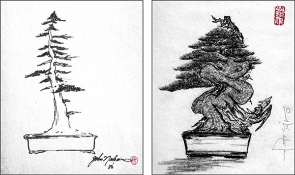 Bonsai Obesity.jpg