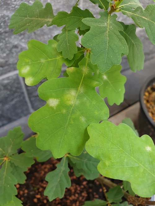 20190703_135921.jpg