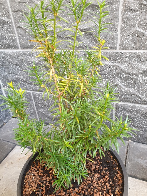 20190703_135924.jpg