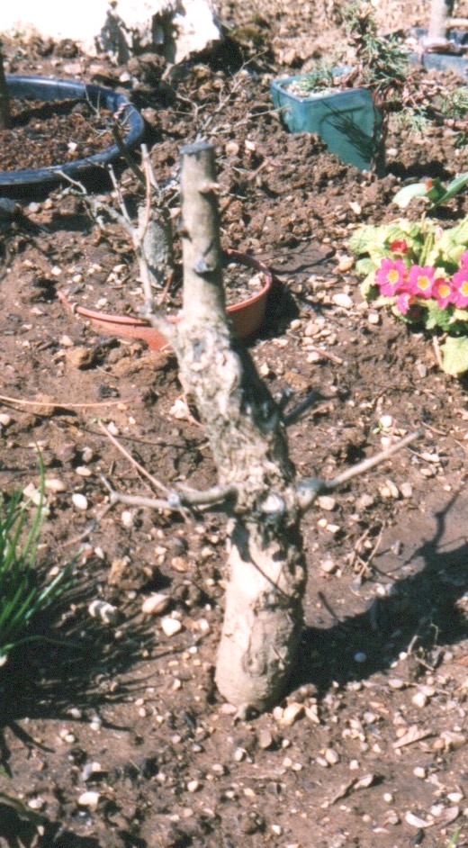 April 1998