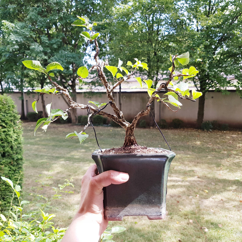 20190706_162236.jpg