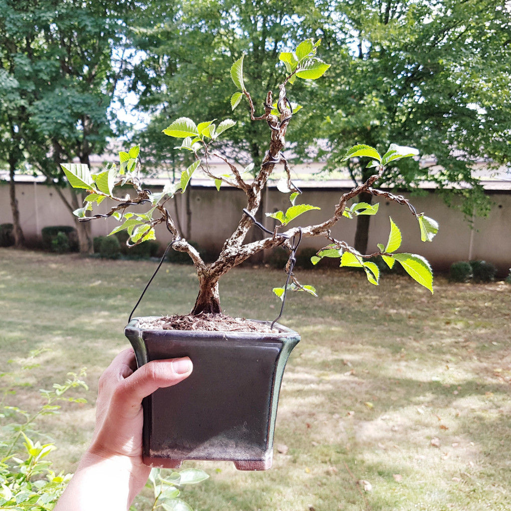 20190706_162523.jpg