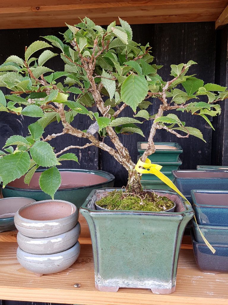 20190706_114222.jpg