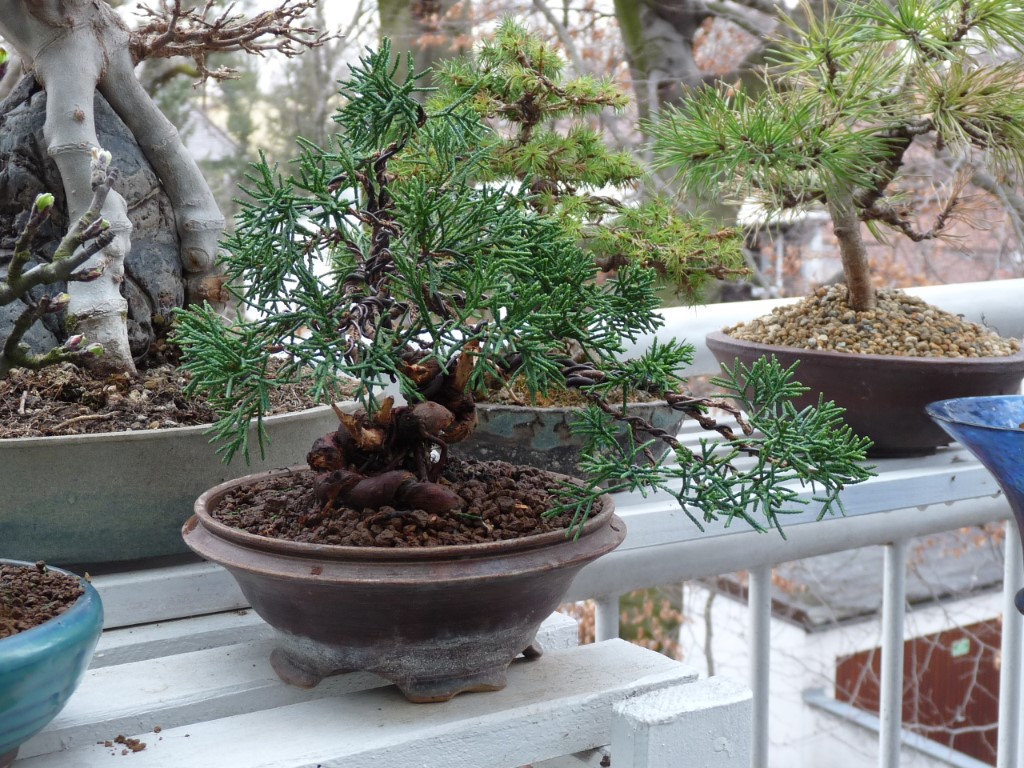 P1000587.JPG