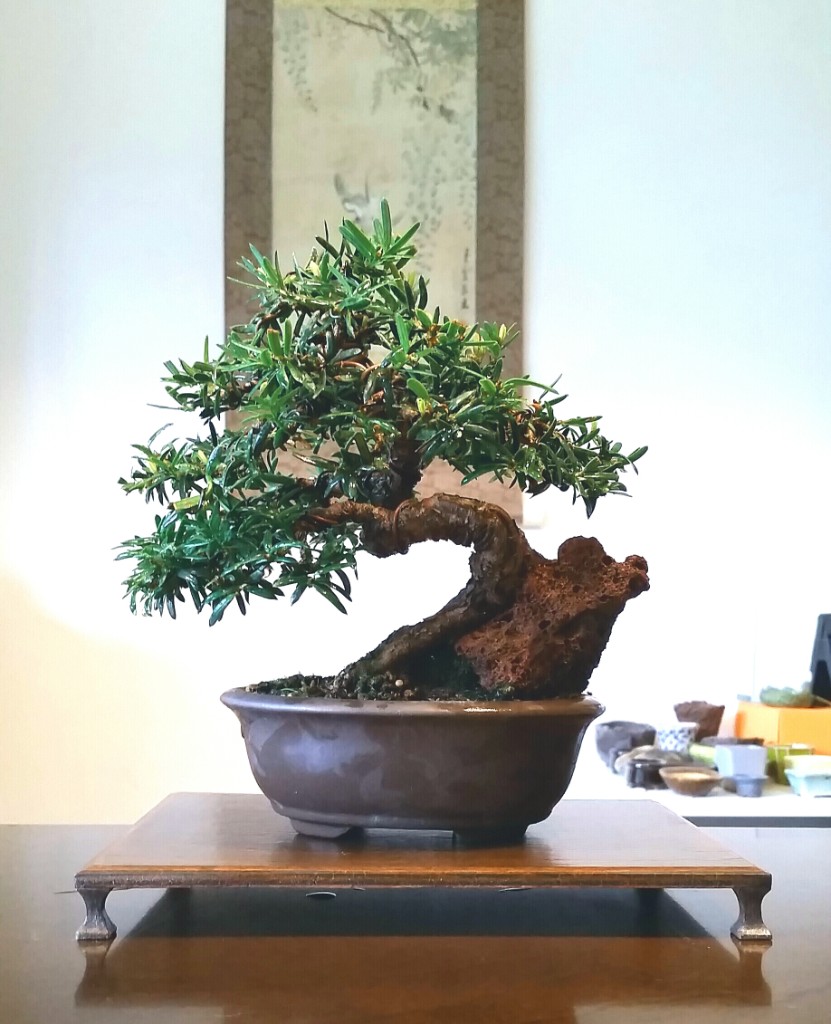 2019-07-07 11.57.49.jpg
