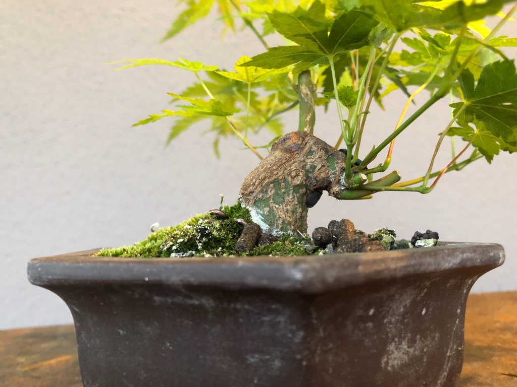 3253CF27-9C91-4E5F-B0DB-15580C15018B.jpeg