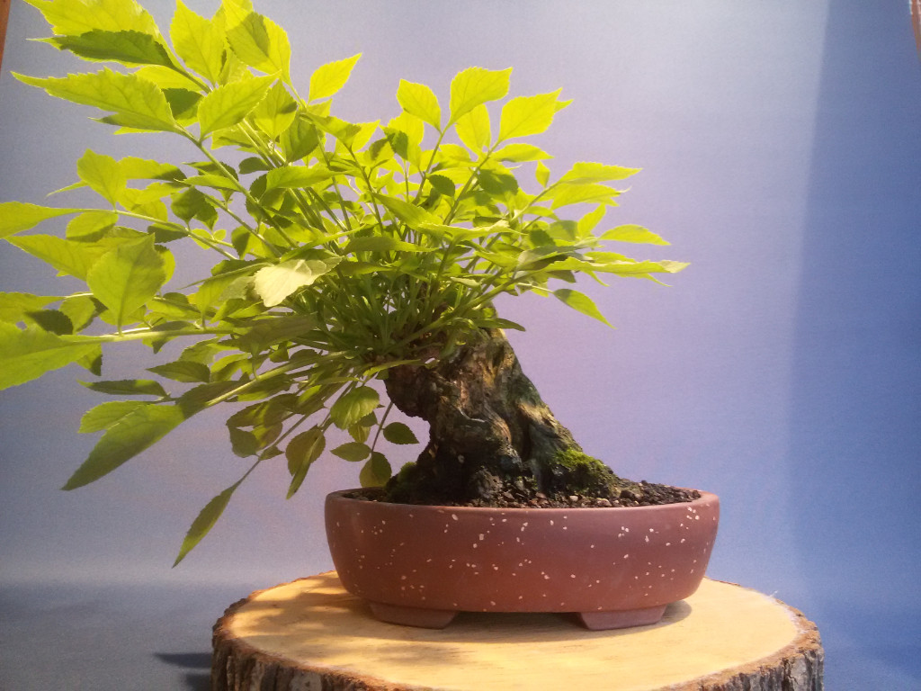 20151010_170641.jpg