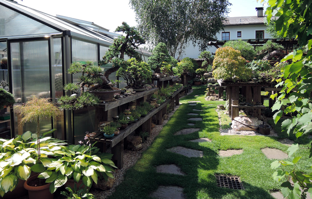 Bonsaigarten_W.P. (2).jpg