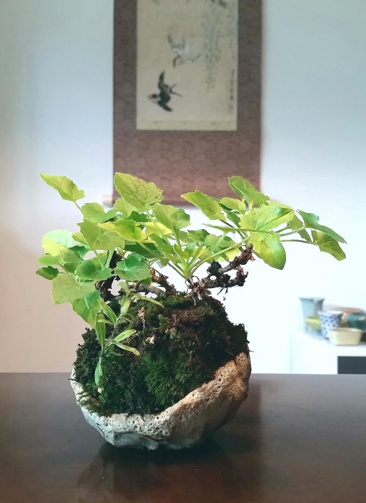 2019-07-14 09.11.39.jpg