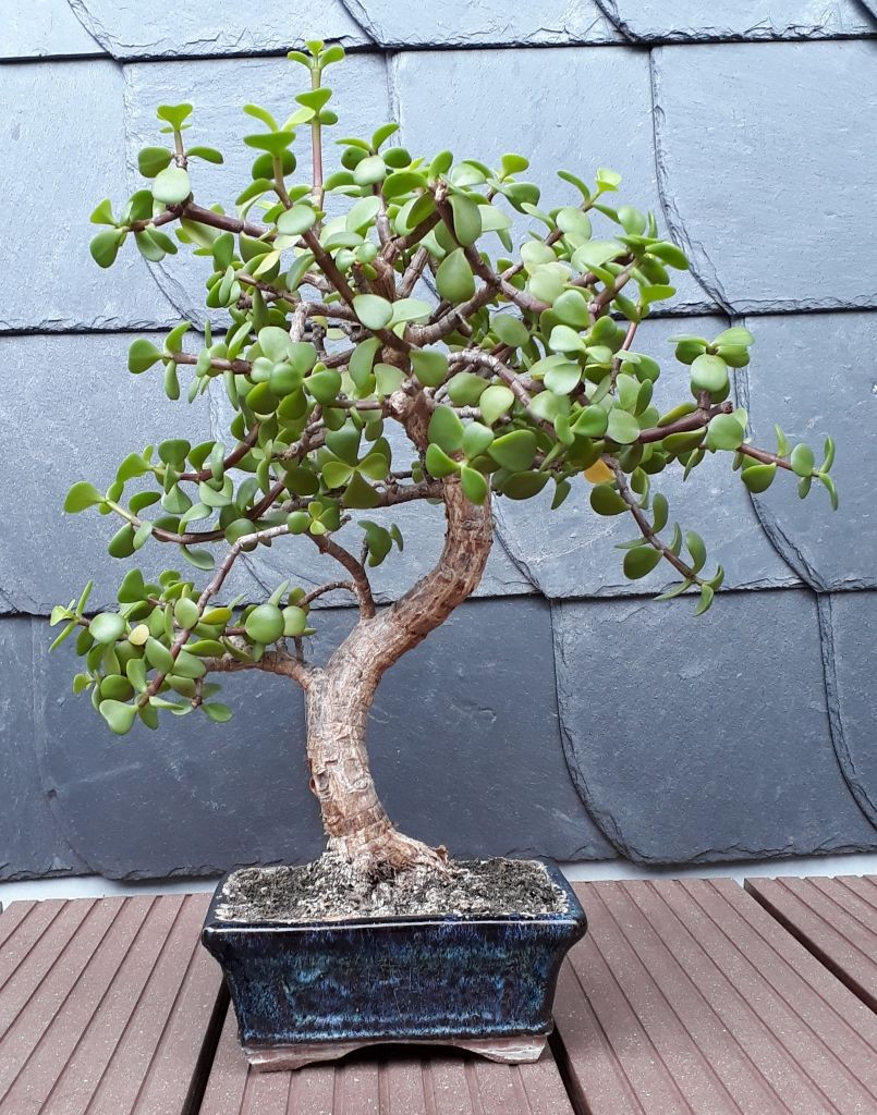 20190714_101147_klein.jpg