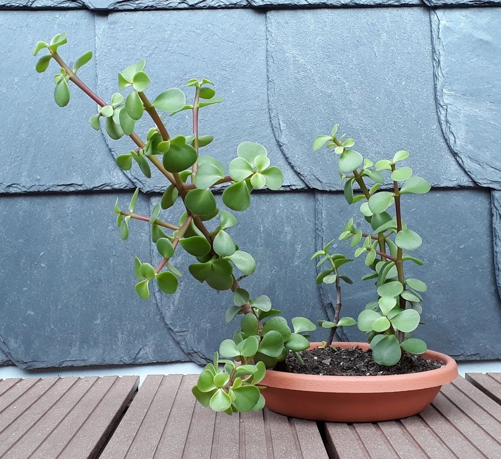 20190714_101400_klein.jpg