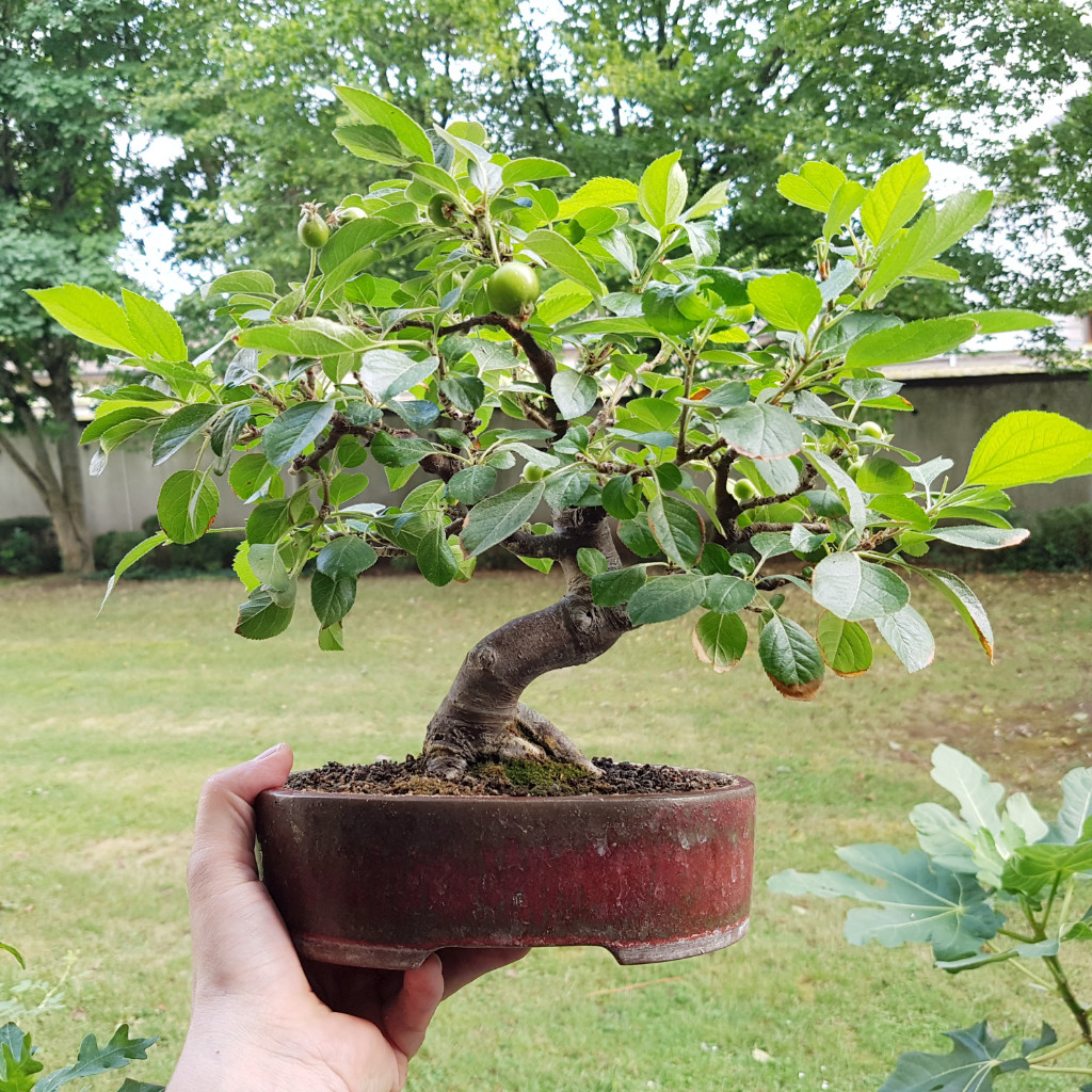 20190714_182911.jpg