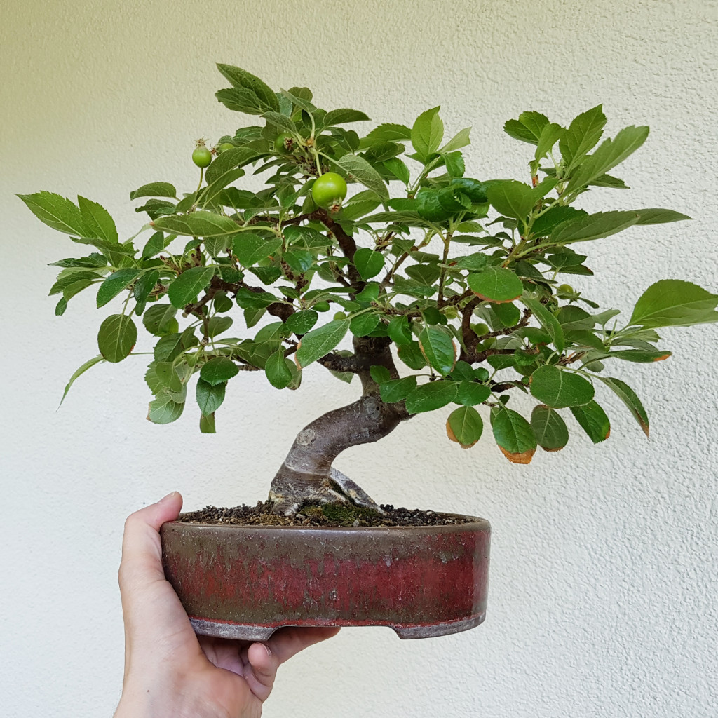 20190714_183016.jpg
