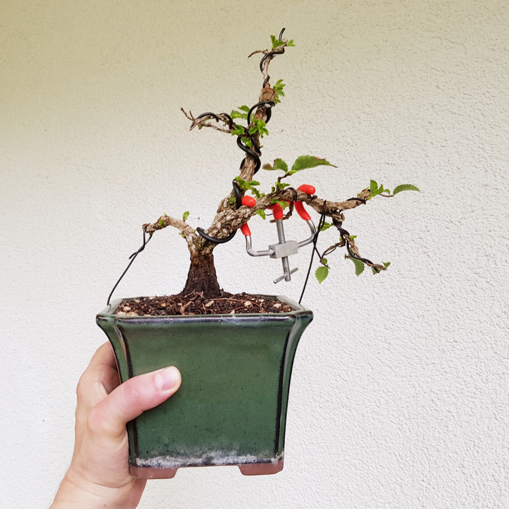 20190719_182434.jpg
