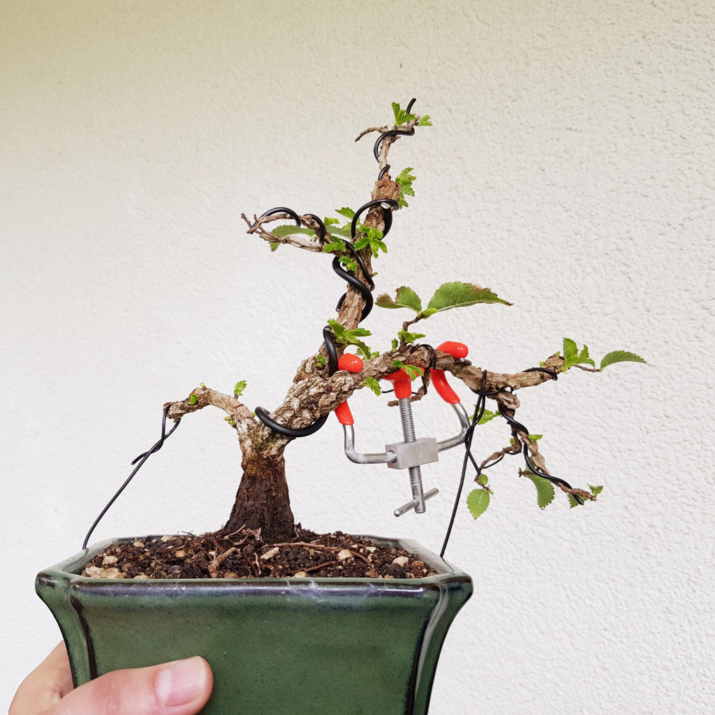 20190719_182306.jpg