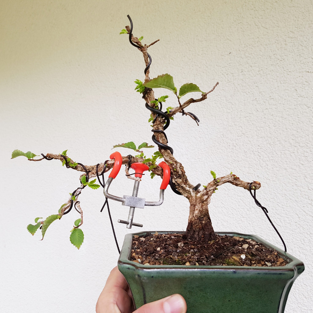 20190719_182337.jpg