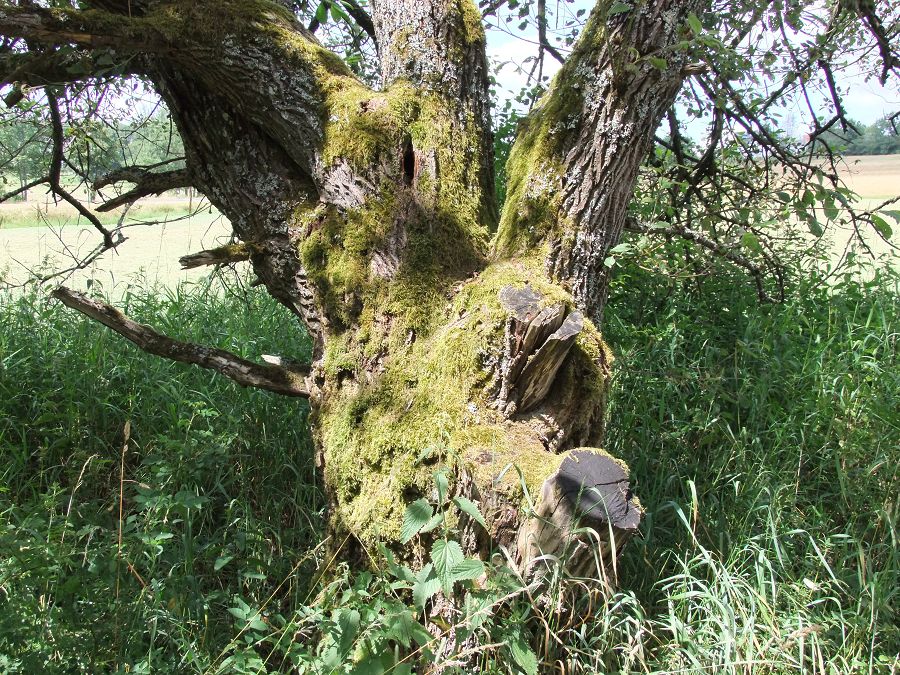 k-DSCF1409.JPG