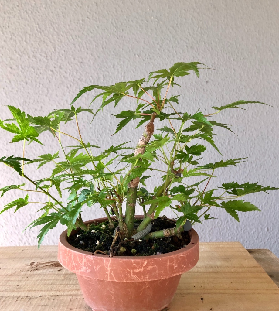 22. Juli 2019