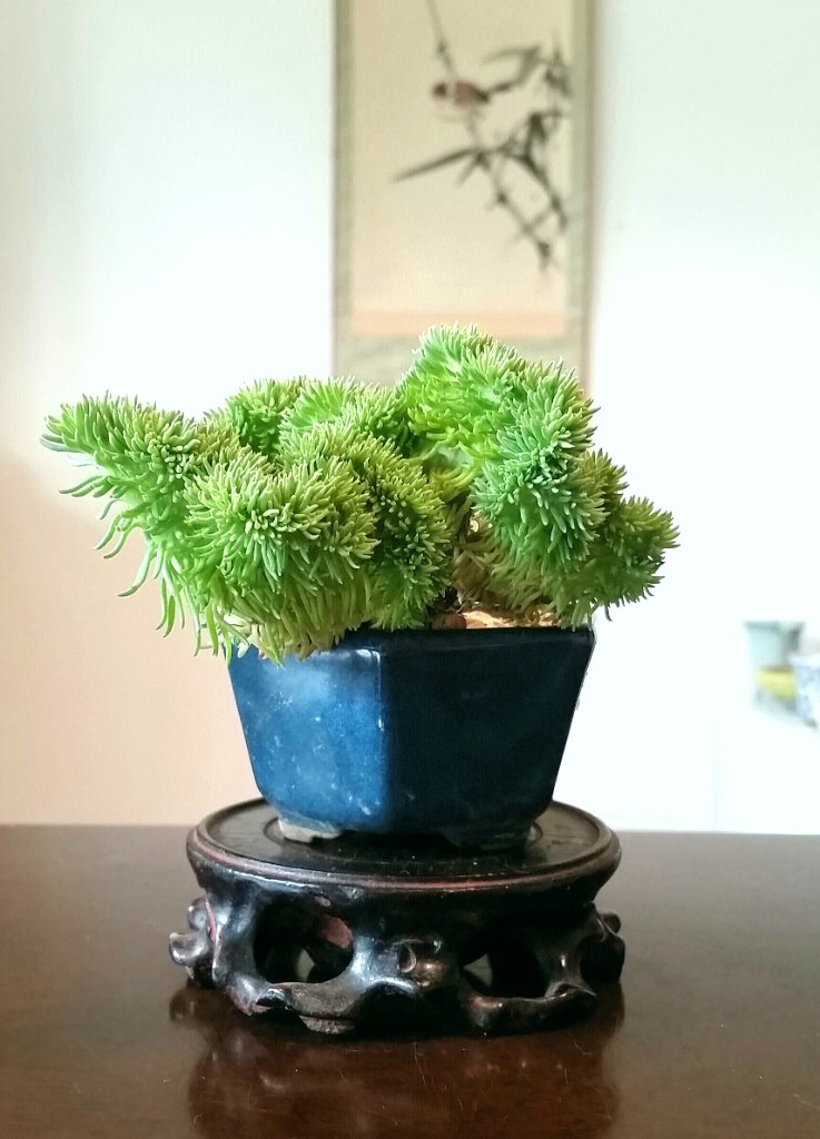 2019-07-19 10.58.16.jpg