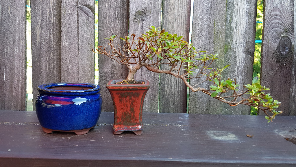 20190726_174931 (2).jpg