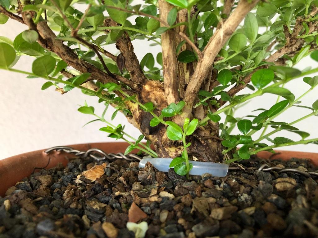 05. Mai 2019