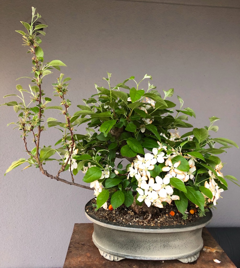 7. April 2019