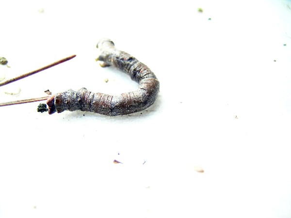 DSCN1651.jpg