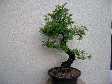 DSCN1659.jpg