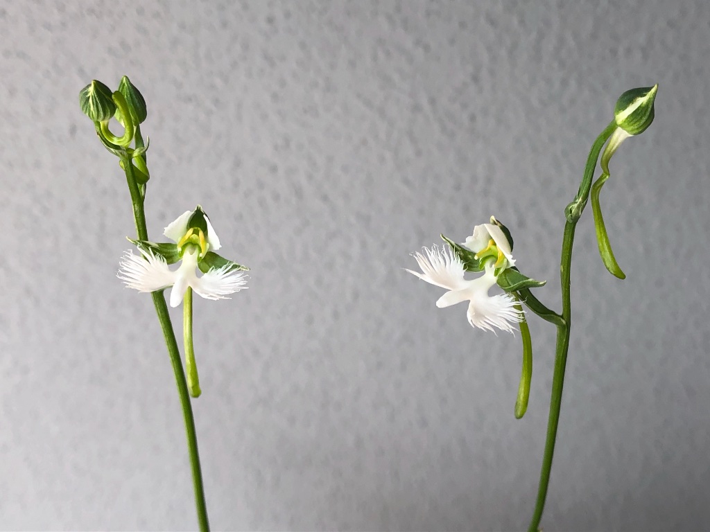 2019-08-03 -2.jpg