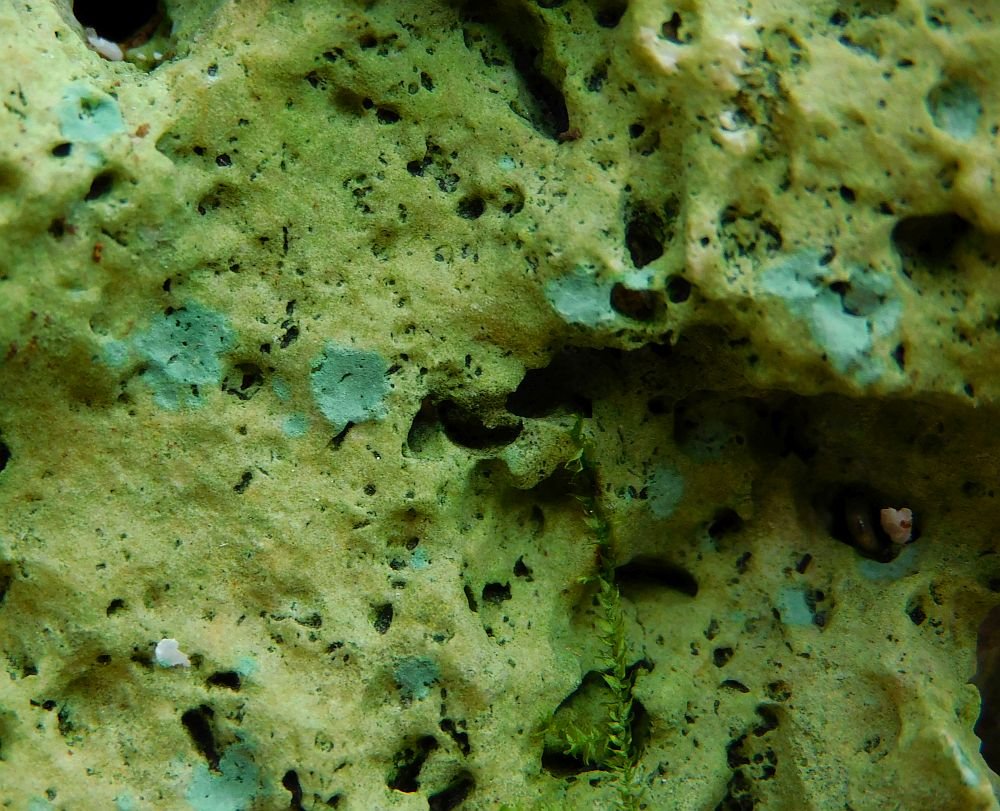 2019-08-11-Aquarienstein-01.JPG