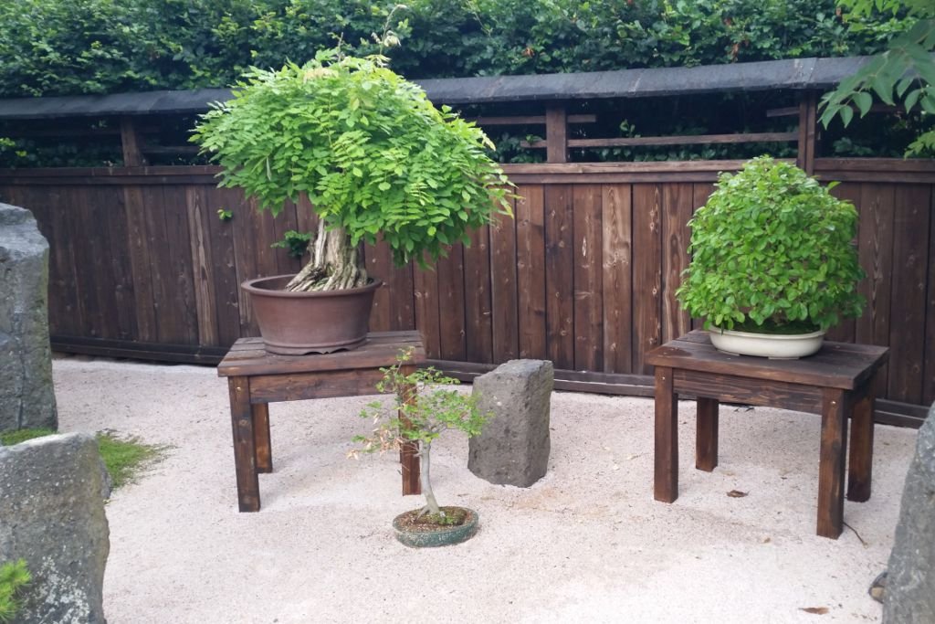 23_2019-07-28_183011-tin-s5.jpg