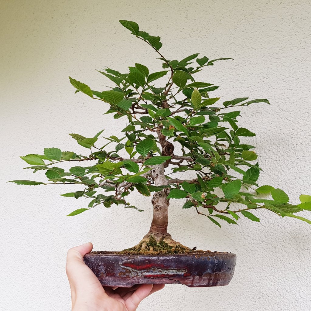 20190817_103846.jpg