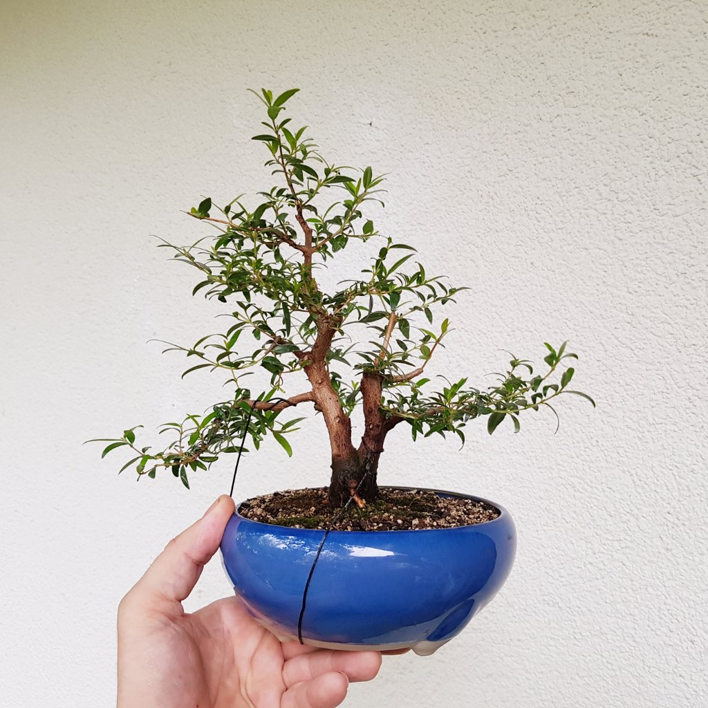 20190817_174710.jpg
