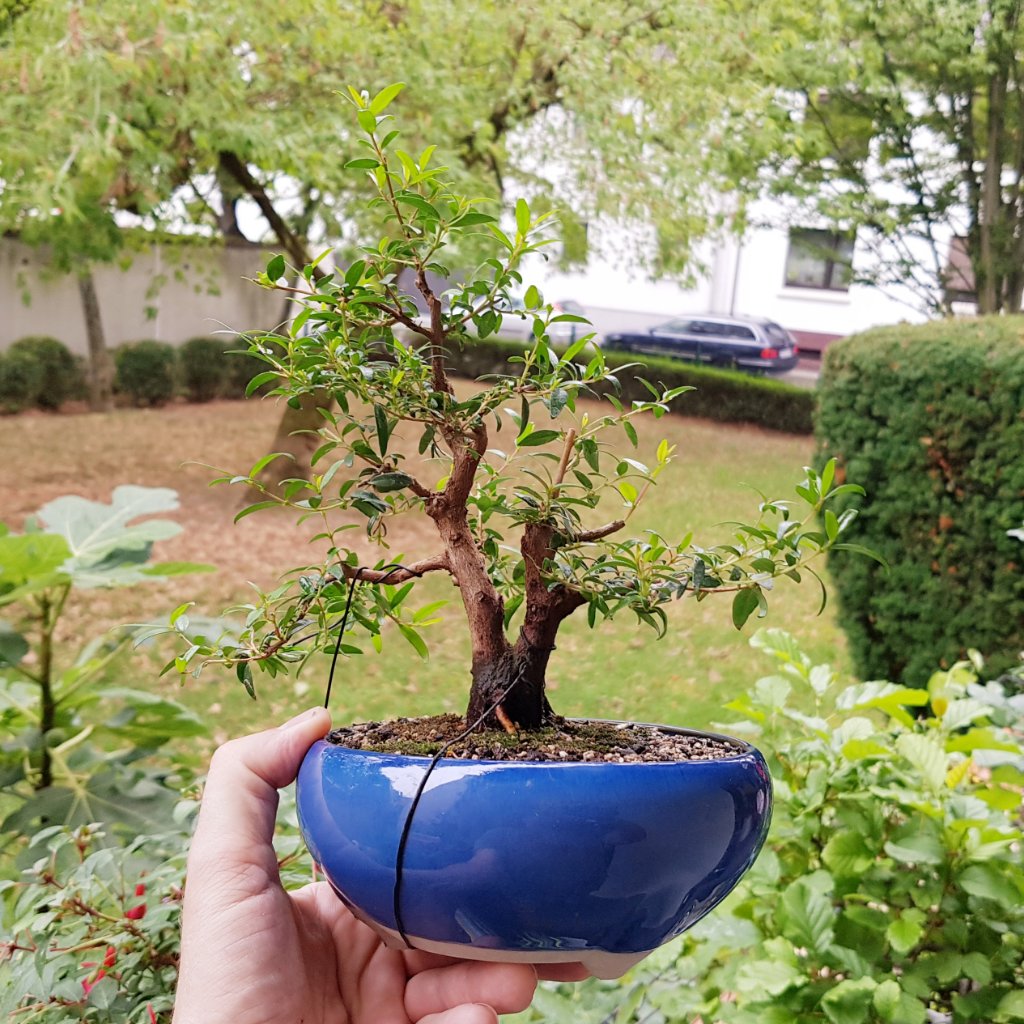 20190817_174648.jpg