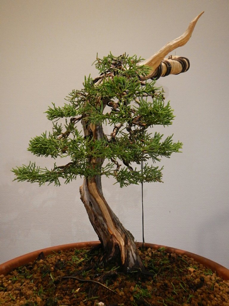 DSCN6488.JPG