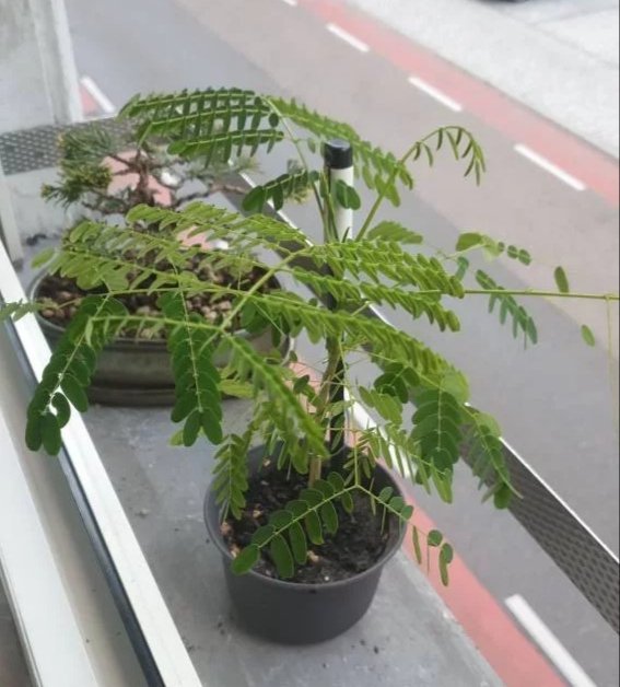 20190819_090218.jpg