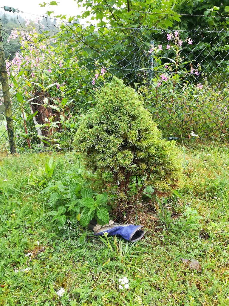 IMG_20190807_165631.jpg