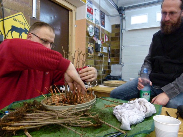 P1060669.JPG