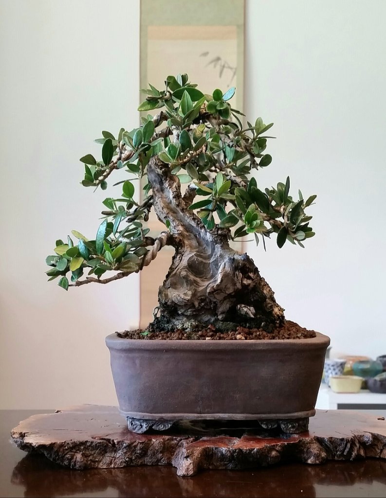 20190824_145225.jpg
