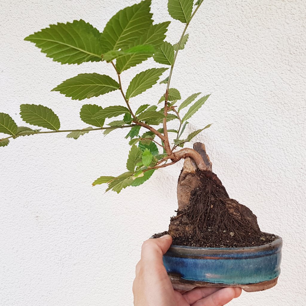 20190824_181435.jpg