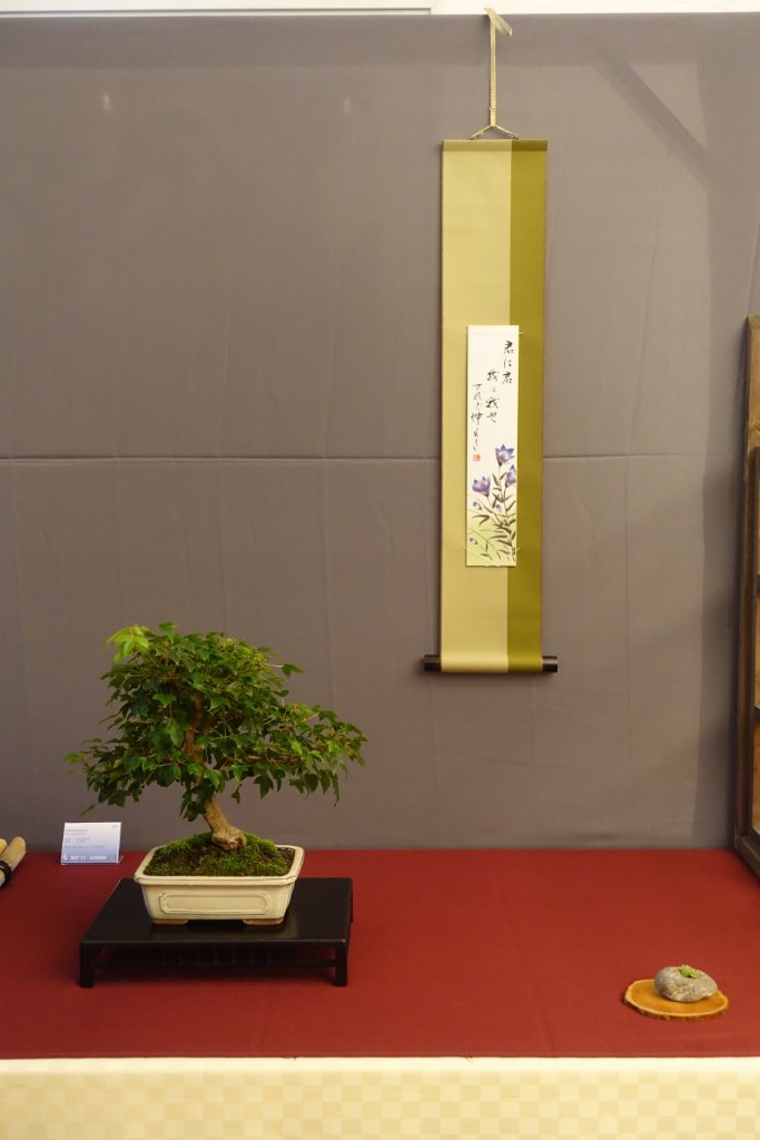 DSC07306.JPG