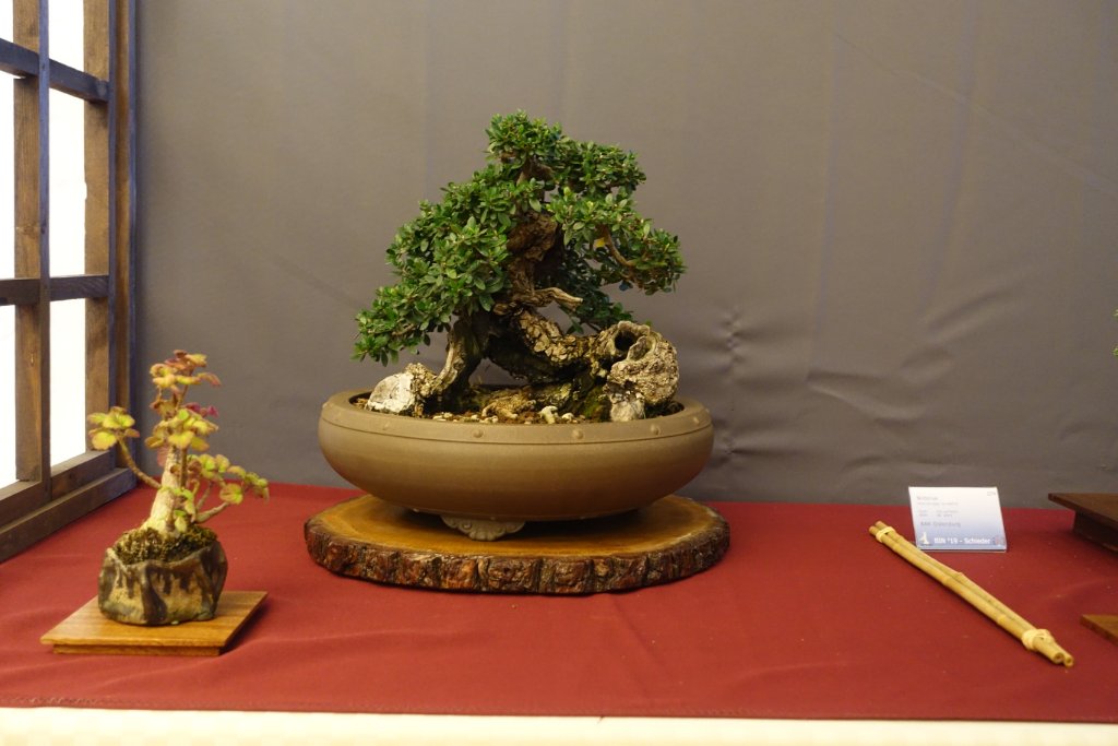 DSC07307.JPG